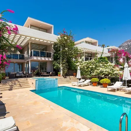 Ruby, Kalkan, كاس